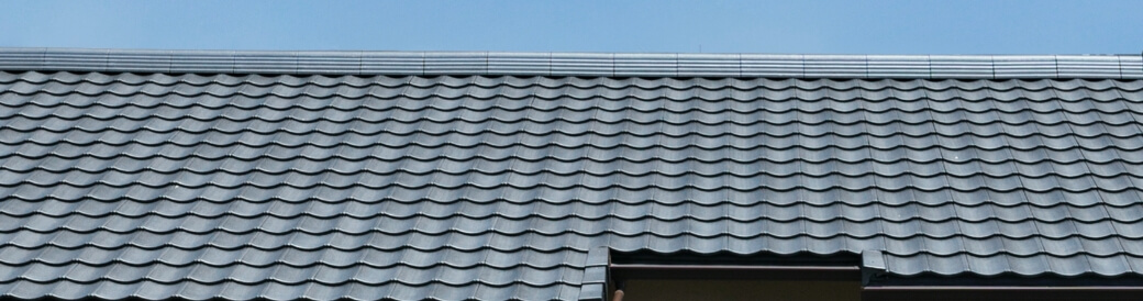 ROOGA�V���b�v